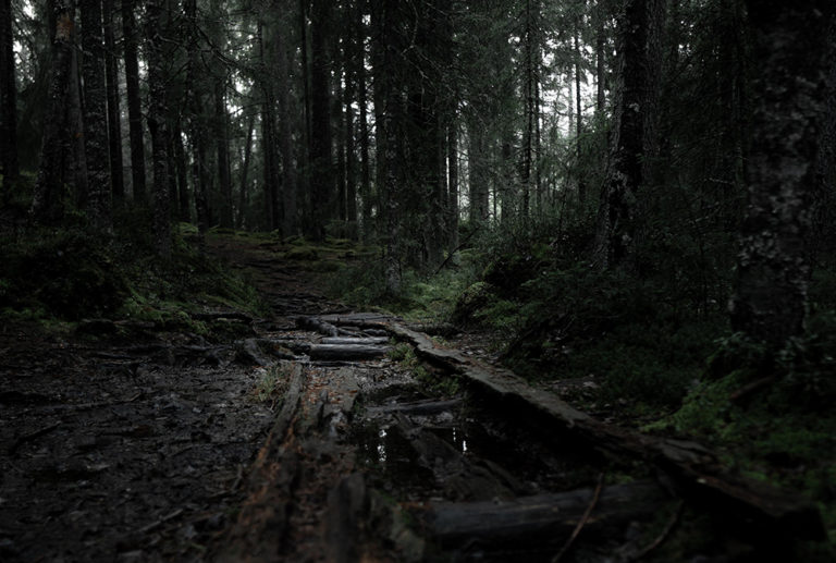 Trollkyrkerundan Trail | Tiveden National Park | Tived, Sweden Trollkyrkerundan Trail | Tiveden National Park | Tived, Sweden