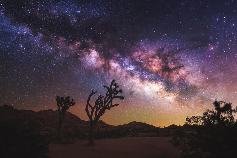 Joshua Tree National Park | California, USA Joshua Tree National Park | California, USA
