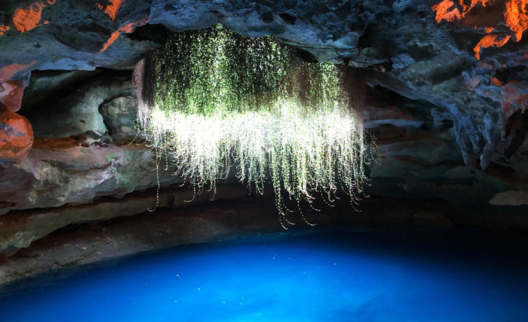 Devil’s Den Spring | Williston, Florida, USA Devil’s Den Spring | Williston, Florida, USA