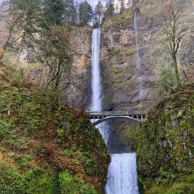 Multnomah Falls | Columbia River Gorge | Cascade Locks, Oregon, USA Multnomah Falls | Columbia River Gorge | Cascade Locks, Oregon, USA